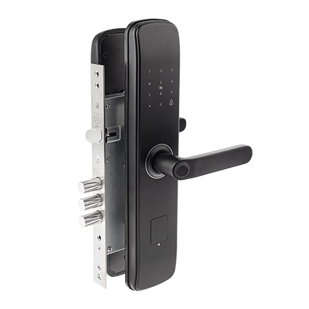  ,   Apecs Smart SL-52-60.85/8001-BLM (TTLock, WiFi, FP), -